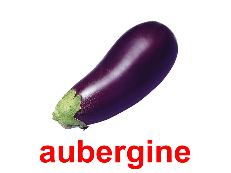 aubergine